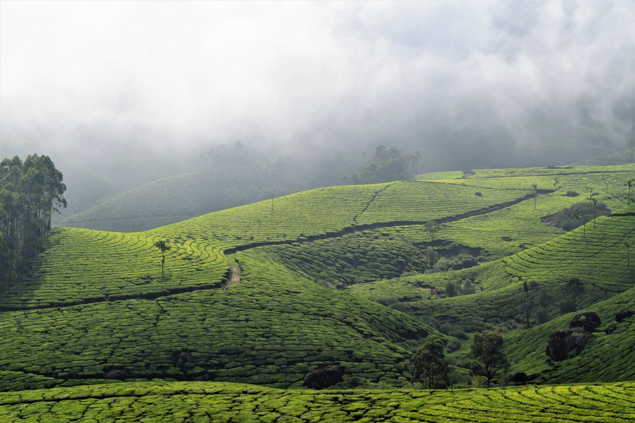 Peaceful landscape in India